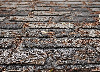 Gassert Roofing Images