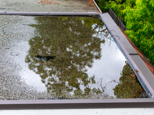 A Palmyra roofer conducting a roof inspection before the August weather challenges to ensure roof's condition.