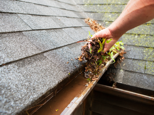 A thorough cleaning and inspection by a qualified Annville roofing contractor