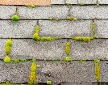 Roof Inspection in Annville for Summer - Gassert Roofing