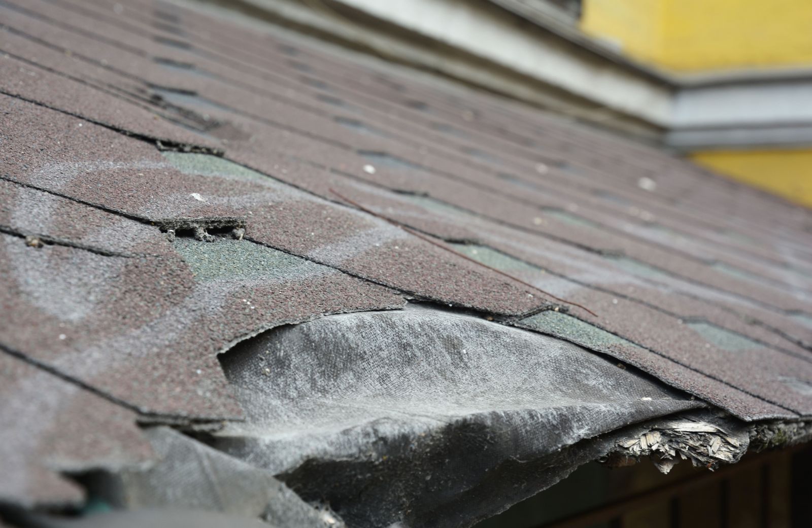 Gassert Roofing Images