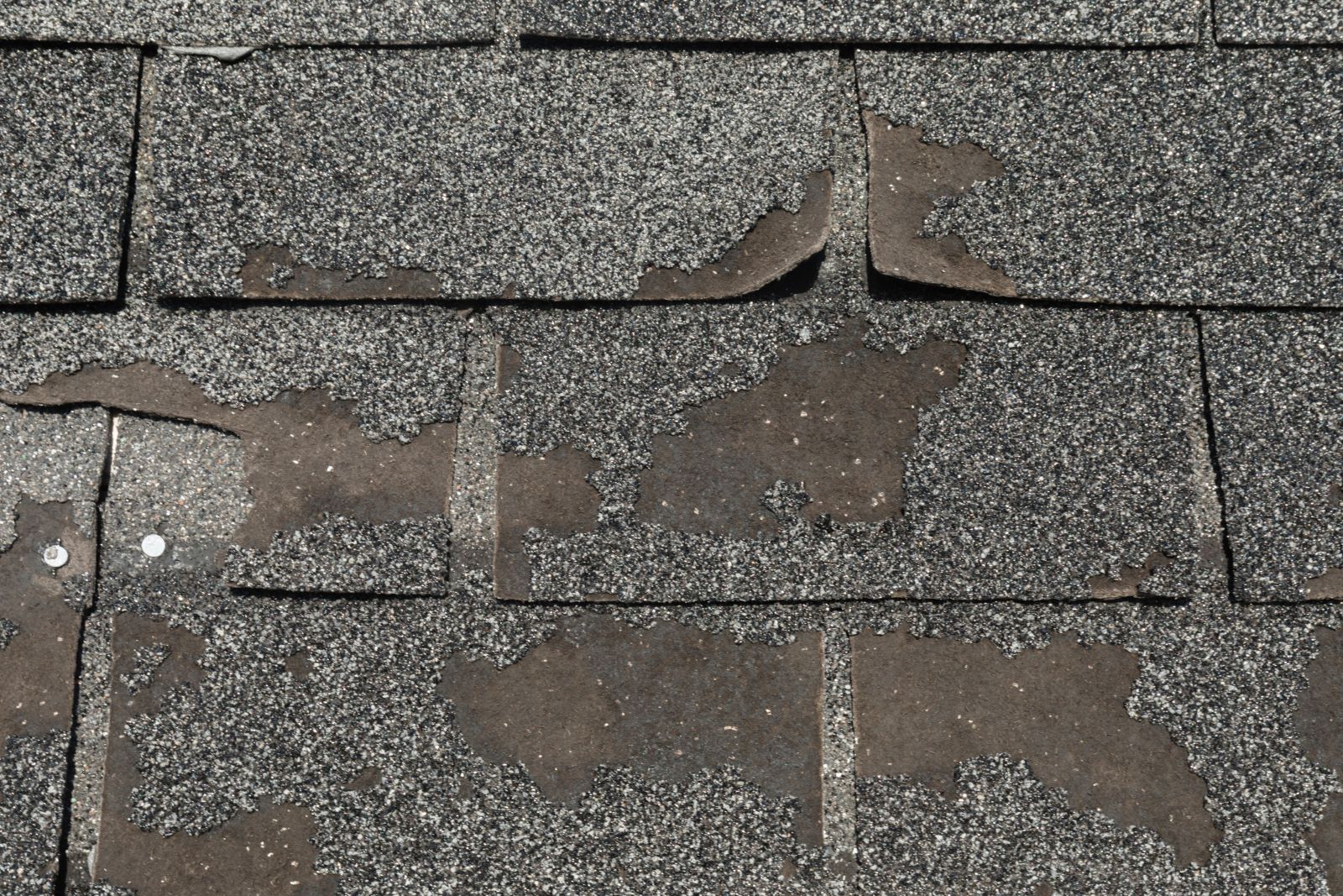 Gassert Roofing Images